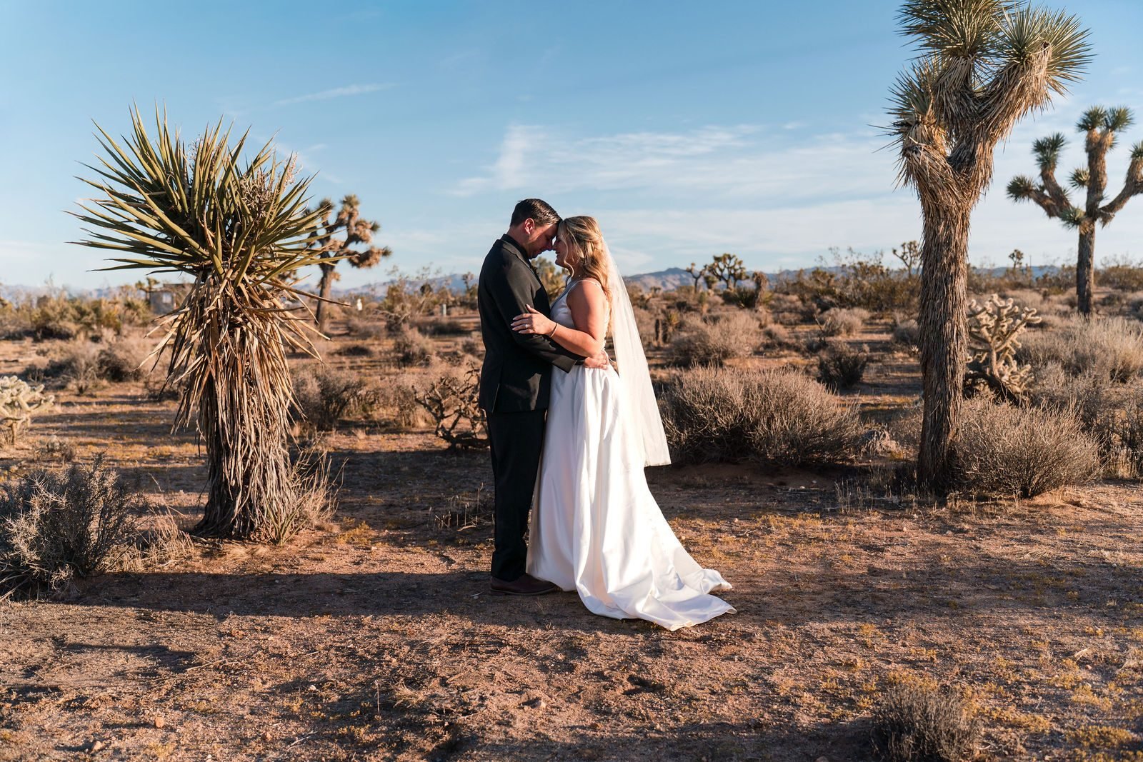 A couple holding each other in open desert between Joshua trees and yucca