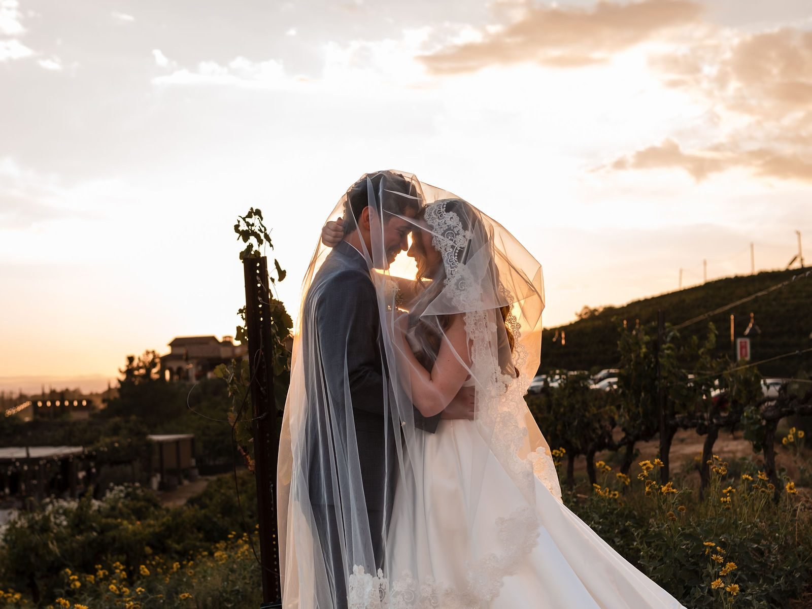 A bride and groom wrapped in her veil among the vines at golden hour at Europa Village